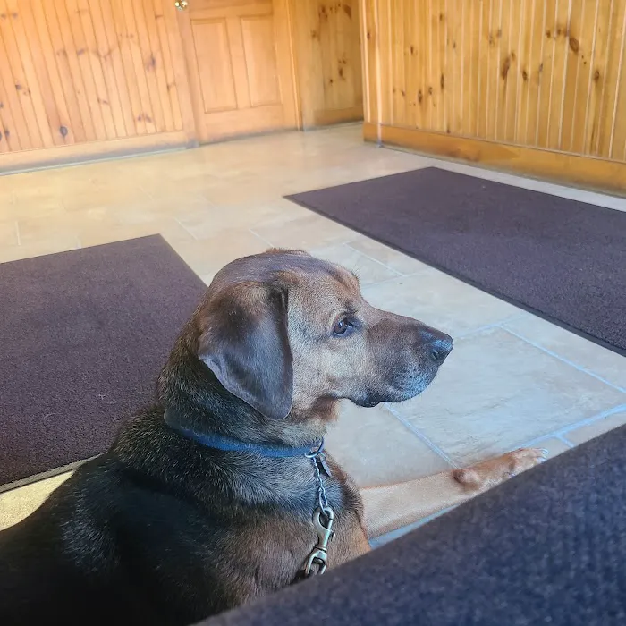 Drumm Veterinary Hospital 12