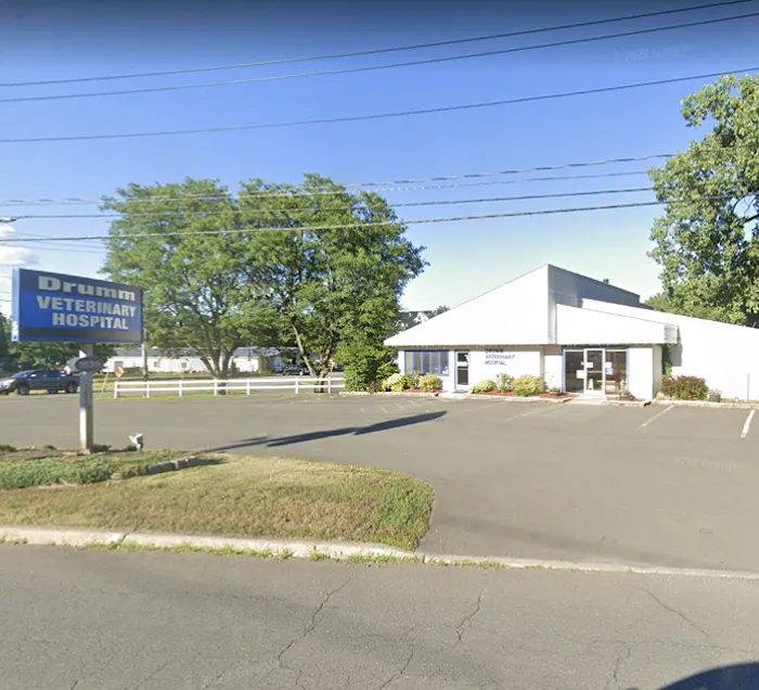 Drumm Veterinary Hospital 12
