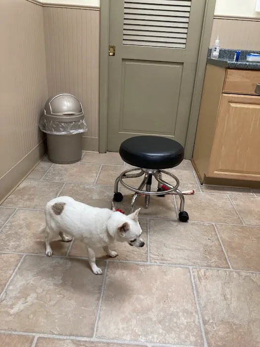 Drumm Veterinary Hospital 12