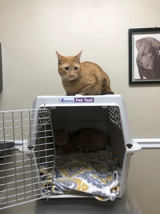 East Greenbush Animal Hospital 12
