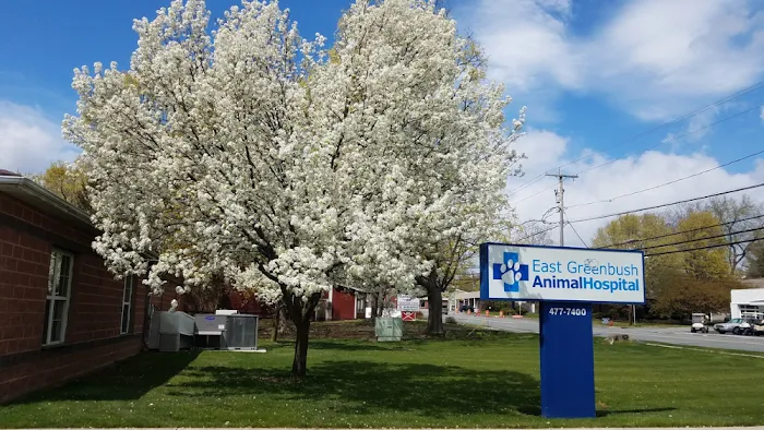 East Greenbush Animal Hospital 12