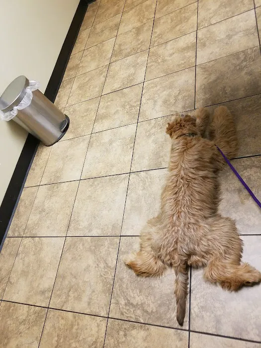 East Greenbush Animal Hospital 12