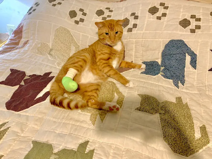 Bloomingrove Veterinary Hospital 12
