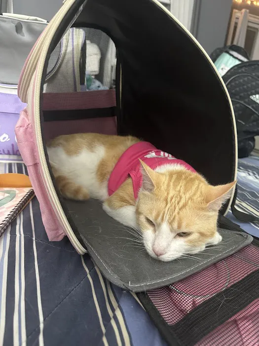 Advanced Veterinary Care 12