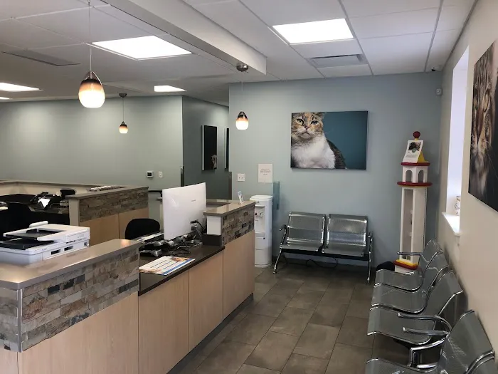 VCA Old Canal Animal Hospital 12
