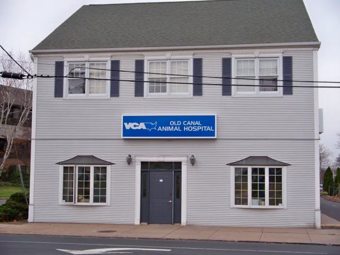 VCA Old Canal Animal Hospital 12
