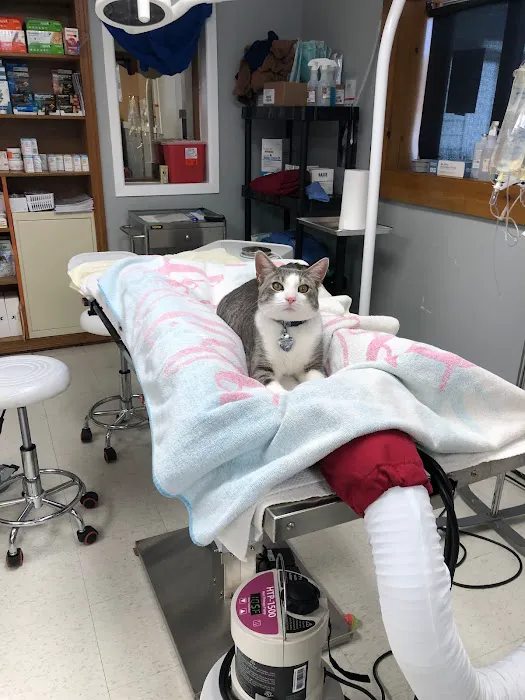 Veterinary Urgent & Well Care Center Of Plainville 12