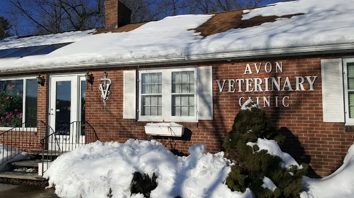 Avon Veterinary Clinic 5