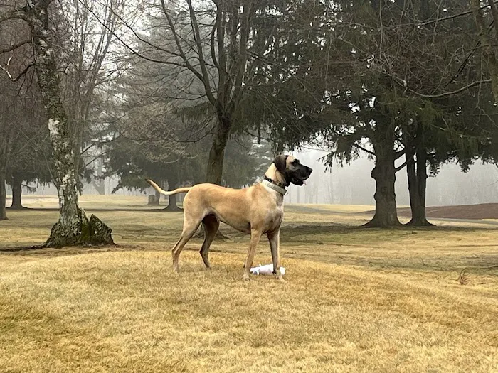 Yalesville Veterinary Hospital 12