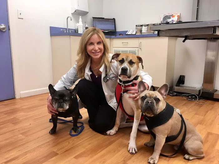 Yalesville Veterinary Hospital 12