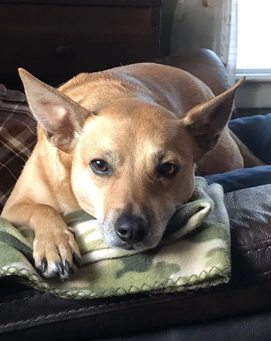 Yalesville Veterinary Hospital 12