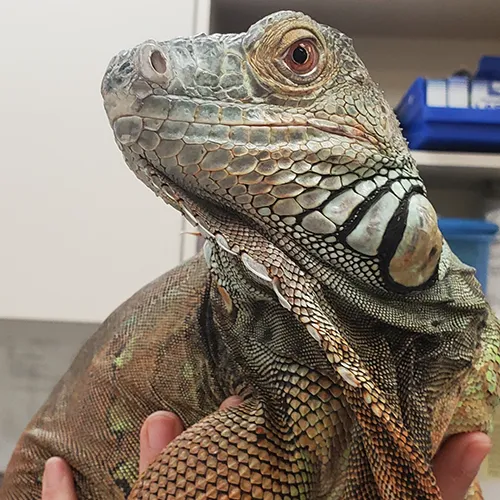 Yalesville Veterinary Hospital 12