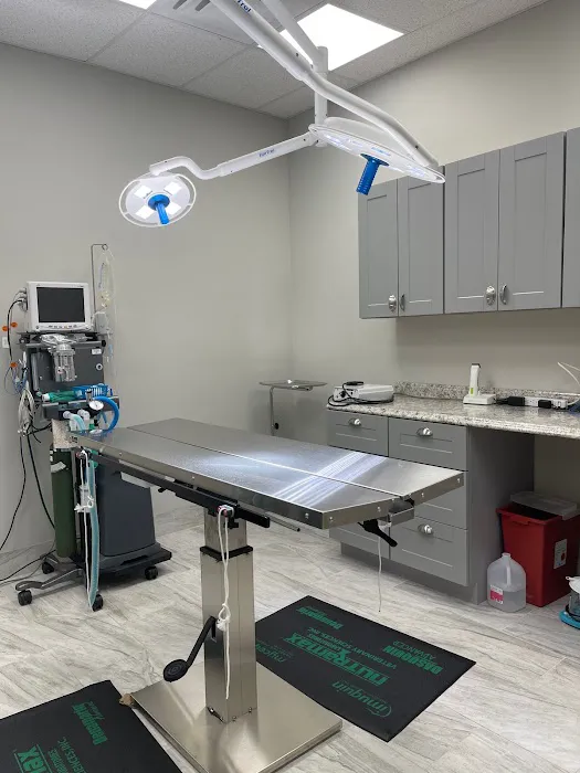 Wallingford Veterinary Hospital 12