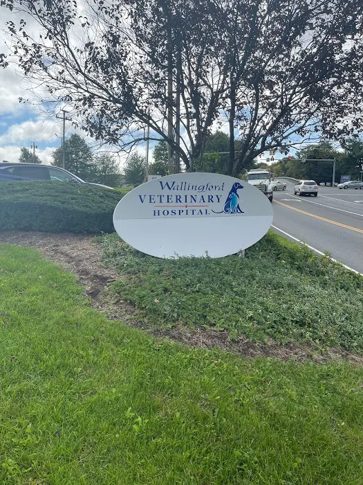 Wallingford Veterinary Hospital 12
