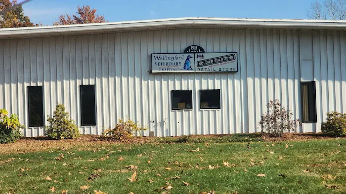 Wallingford Veterinary Hospital 12