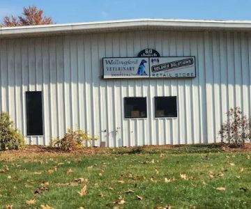 Wallingford Veterinary Hospital