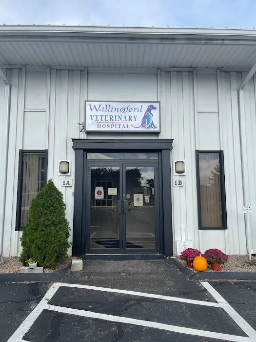 Wallingford Veterinary Hospital 12