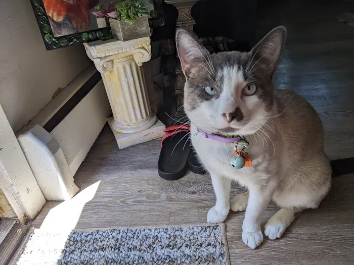 Connecticut Veterinary Center 12