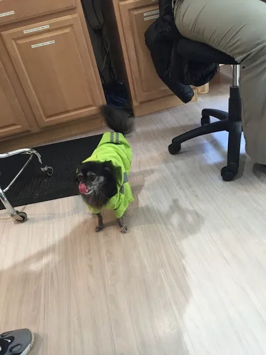 Connecticut Veterinary Center 12