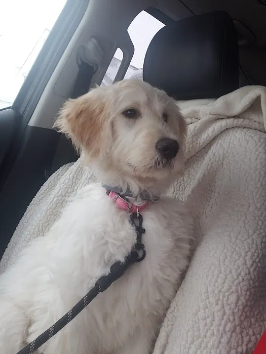 Connecticut Veterinary Center 12
