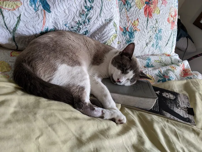Connecticut Veterinary Center 12