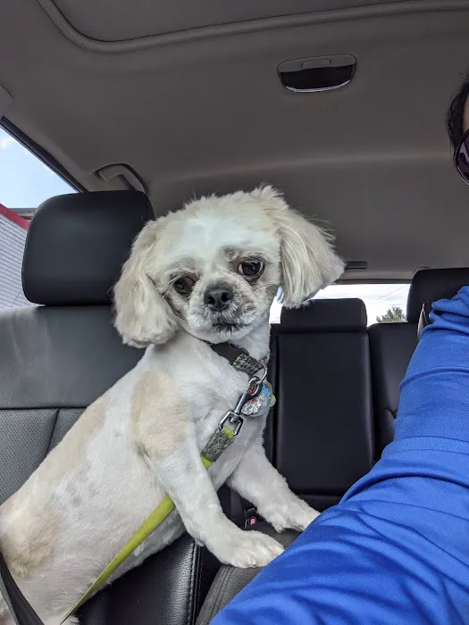 Connecticut Veterinary Center 12