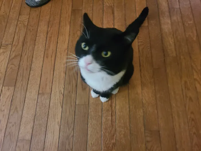 Connecticut Veterinary Center 12