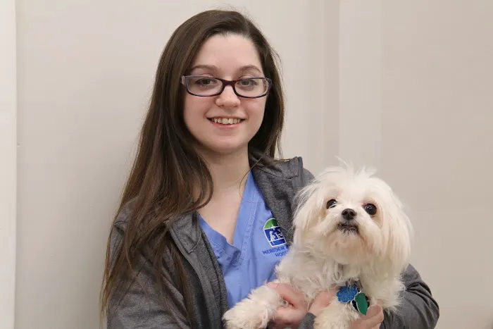 Meriden Animal Hospital 12
