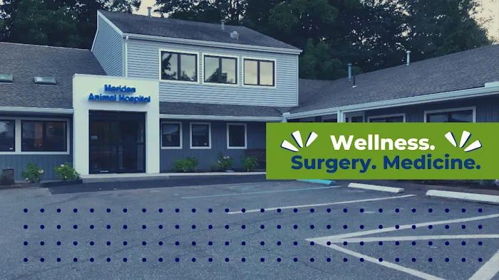 Meriden Animal Hospital 12