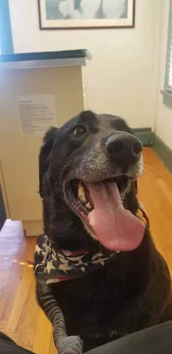 Silver Lake Animal Urgent Care Hospital 12