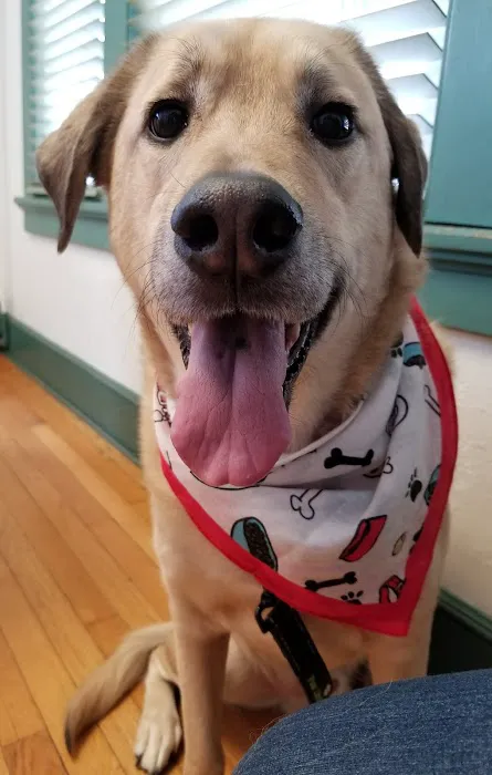 Silver Lake Animal Urgent Care Hospital 12
