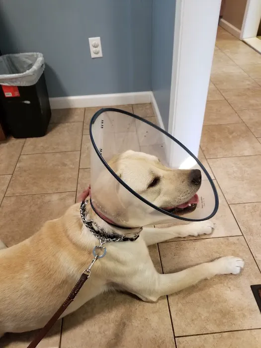 East Side Veterinary Clinic 5