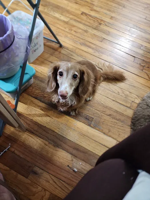 East Side Veterinary Clinic 3