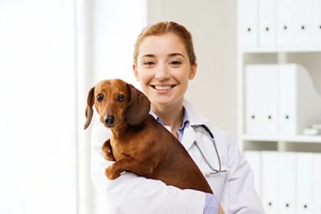 Orange Veterinary Hospital