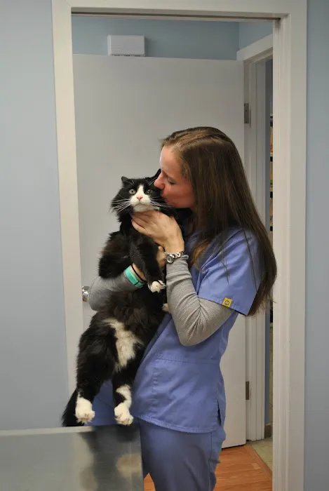 Orange Veterinary Hospital 12