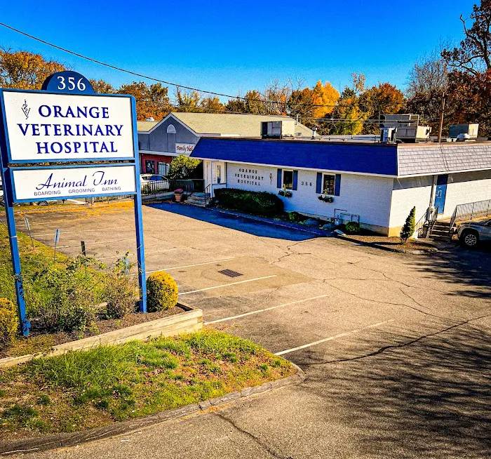 Orange Veterinary Hospital 12