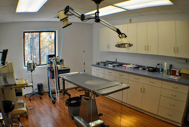 Orange Veterinary Hospital 12