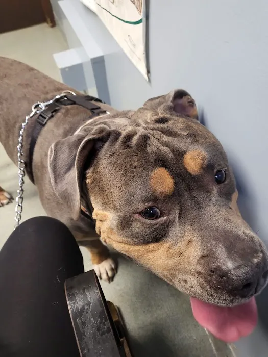 Elm Veterinary Clinic 12