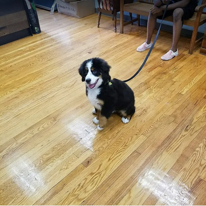 Spring Glen Veterinary Clinic 12