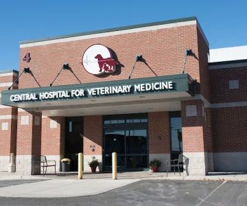 Central Hospital For Veterinary Medicine