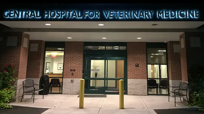 Central Hospital For Veterinary Medicine 12