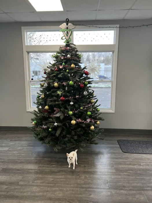 Ridgehill Animal Hospital 12