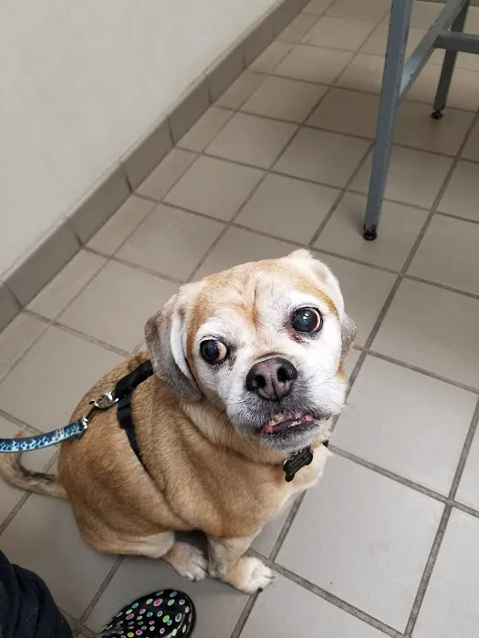 Ridgehill Animal Hospital 12