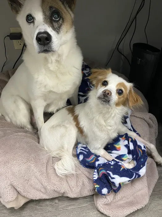 Ridgehill Animal Hospital 12