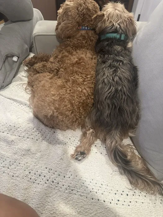 Banfield Pet Hospital 12
