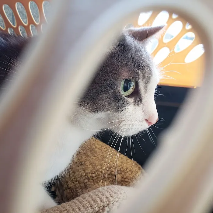 Banfield Pet Hospital 12