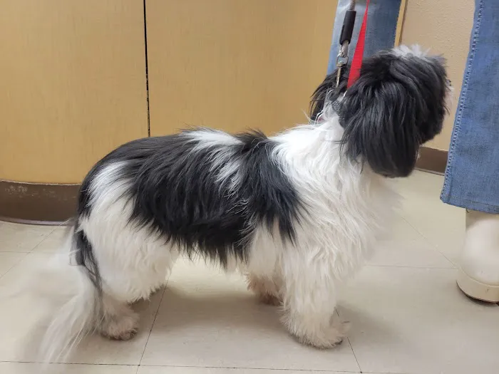 Banfield Pet Hospital 12