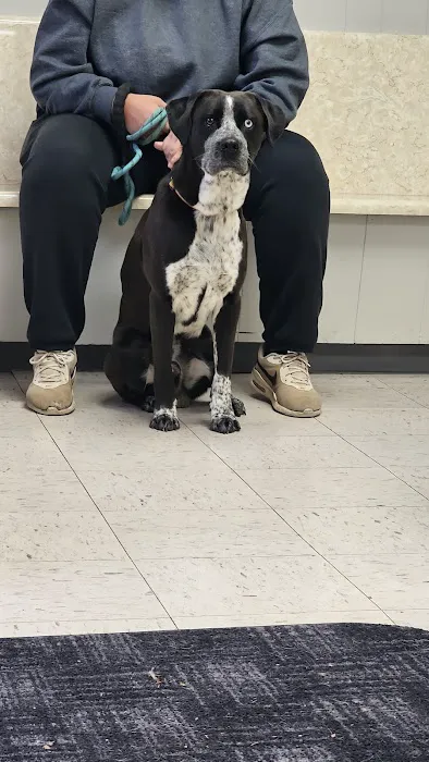 North Haven Animal Hospital 12