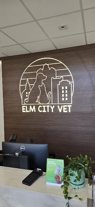 Elm City Vet 12