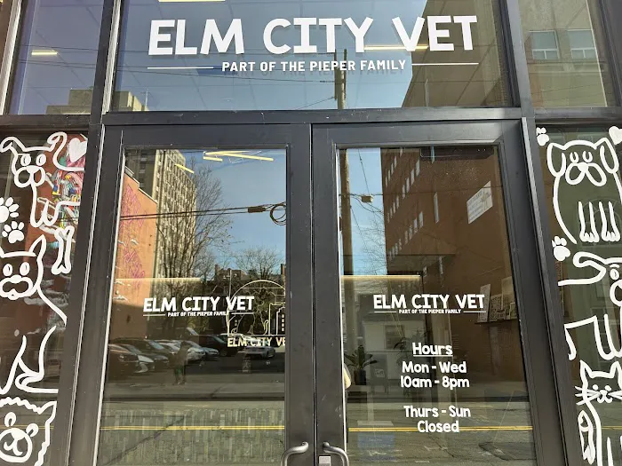 Elm City Vet 12